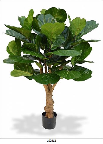 Buscando el ambiente natural
