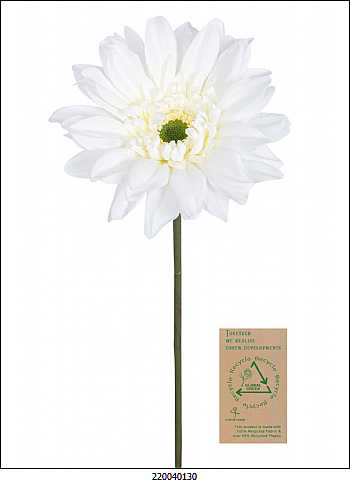 Buscando el ambiente natural