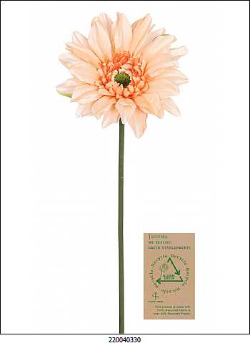 Buscando el ambiente natural