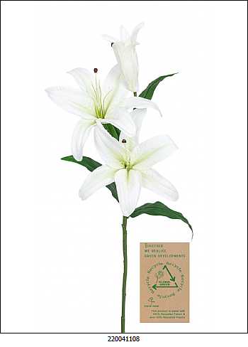 Buscando el ambiente natural