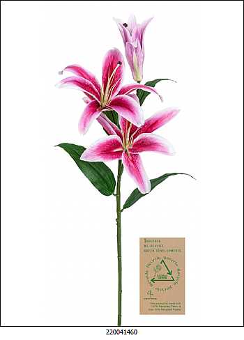 Buscando el ambiente natural