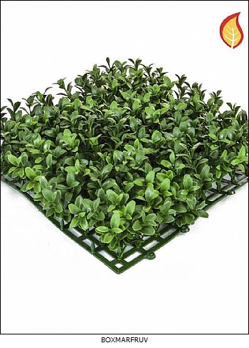Buscando el ambiente natural